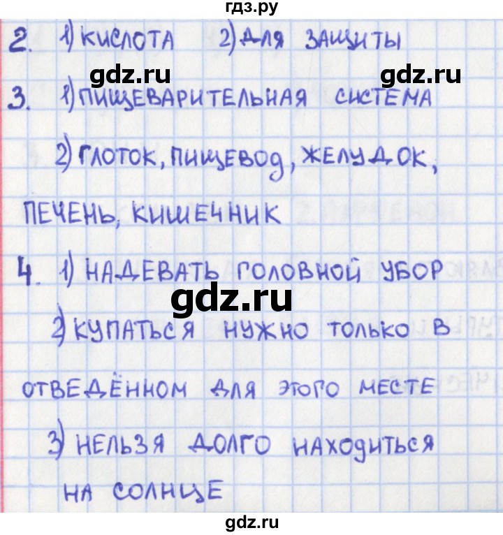 ГДЗ по окружающему миру 3 класс Глаголева контрольно-измерительные материалы  страница - 61, Решебник 2017 г.