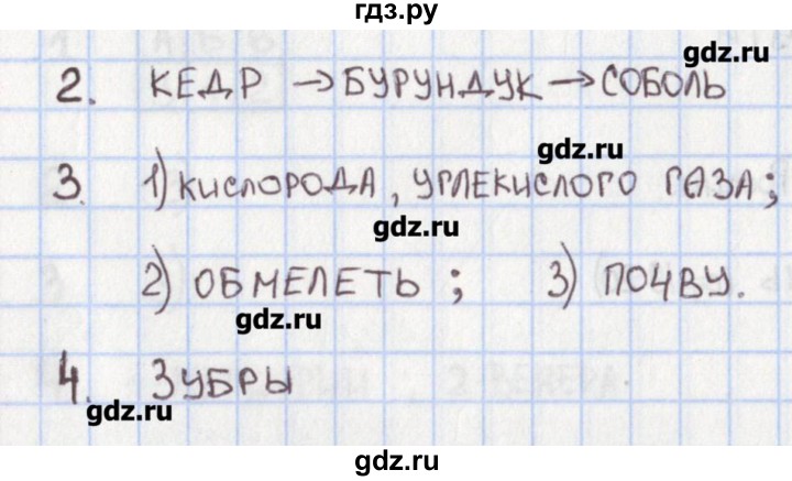 ГДЗ по окружающему миру 4 класс Глаголева контрольно-измерительные материалы  страница - 22, Решебник