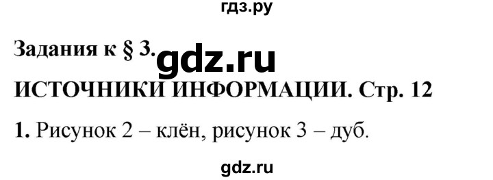 ГДЗ по информатике 2 класс Матвеева рабочая тетрадь  часть 1. страница - 12, Решебник 2023