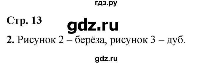 ГДЗ по информатике 2 класс Матвеева рабочая тетрадь  часть 1. страница - 13, Решебник 2023