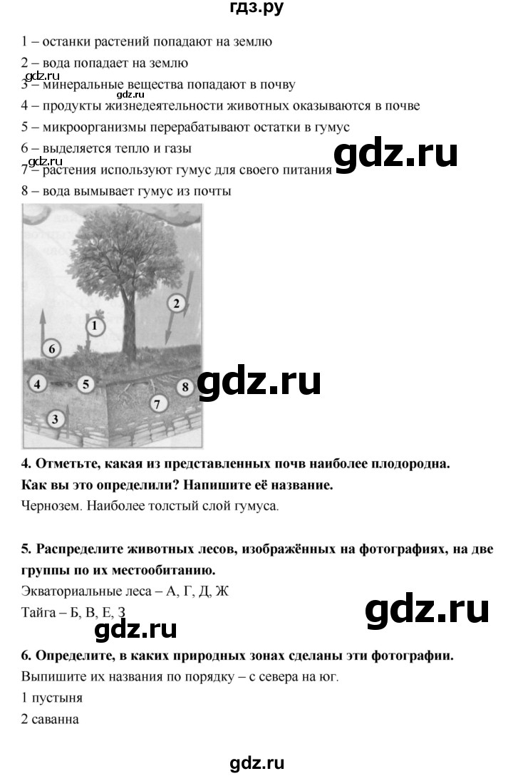 ГДЗ по географии 5 класс  Лобжанидзе тетрадь-тренажёр  часть 2 (страница) - 58–62, Решебник