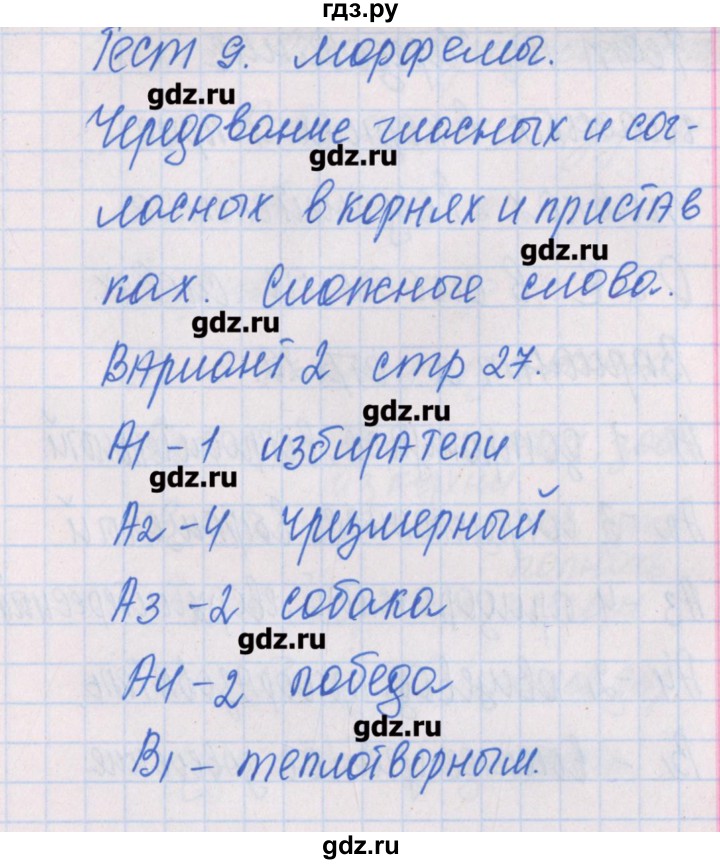 ГДЗ по русскому языку 6 класс Егорова контрольно-измерительные материалы  тест 9. вариант - 2, Решебник