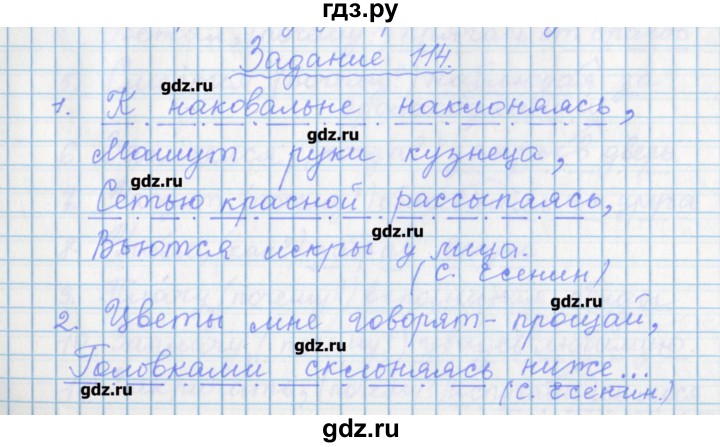 ГДЗ по русскому языку 7 класс Бабайцева рабочая тетрадь Углубленный уровень задание - 114, Решебник