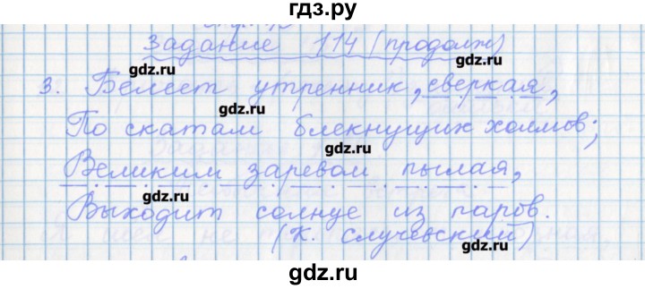 ГДЗ по русскому языку 7 класс Бабайцева рабочая тетрадь Углубленный уровень задание - 114, Решебник