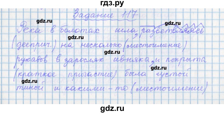 ГДЗ по русскому языку 7 класс Бабайцева рабочая тетрадь Углубленный уровень задание - 117, Решебник