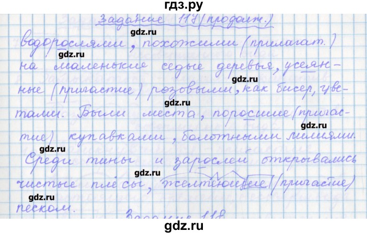 ГДЗ по русскому языку 7 класс Бабайцева рабочая тетрадь Углубленный уровень задание - 117, Решебник