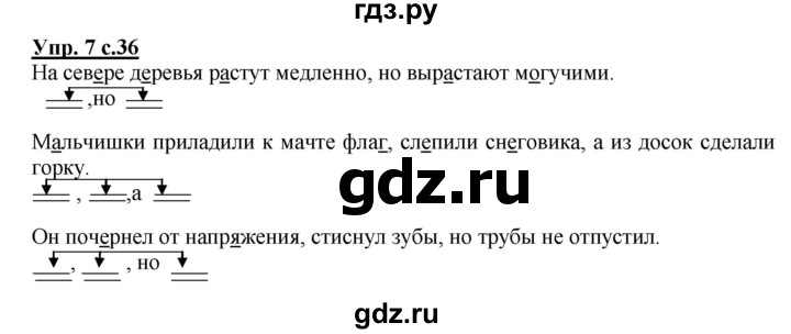 ГДЗ по русскому языку 4 класс Желтовская рабочая тетрадь  часть 1. страница - 36, Решебник №1 2015