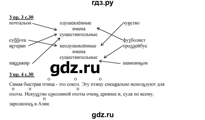 ГДЗ по русскому языку 2 класс Желтовская рабочая тетрадь  часть 2. страница - 30, Решебник №1 2017