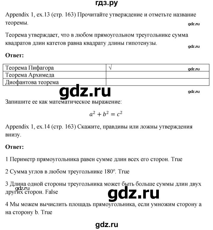 ГДЗ по английскому языку 10 класс Биболетова Enjoy English  страница - 163, Решебник №1 2016