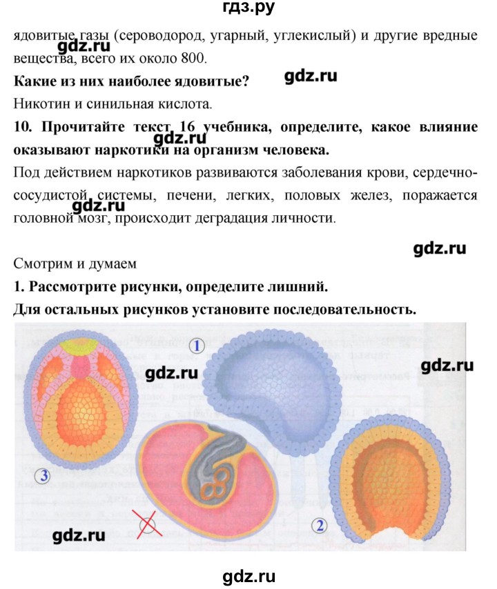ГДЗ по биологии 9 класс Сухорукова тетрадь-тренажер  страница - 26, Решебник