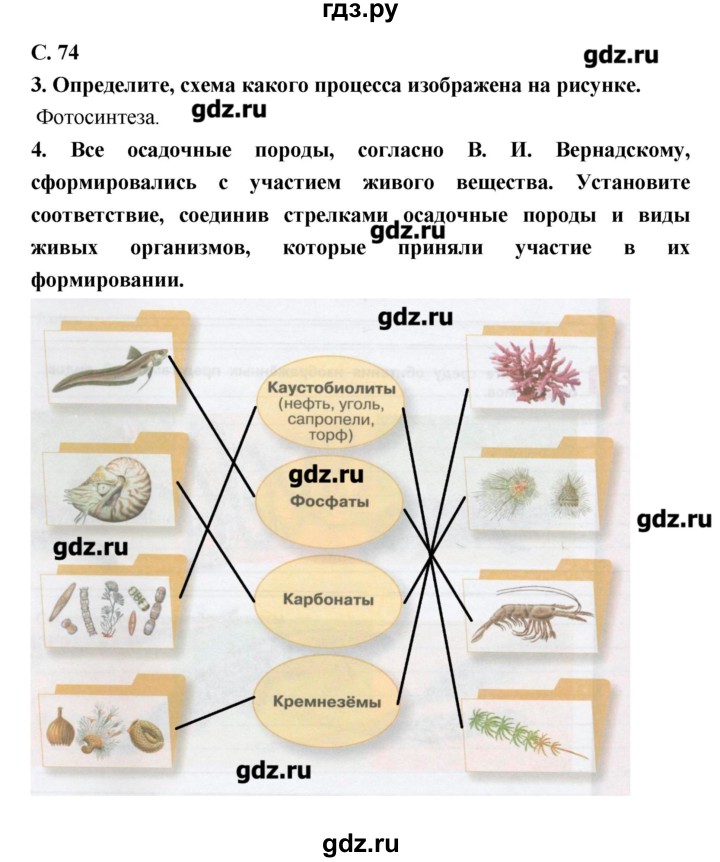ГДЗ по биологии 9 класс Сухорукова тетрадь-тренажер  страница - 74, Решебник