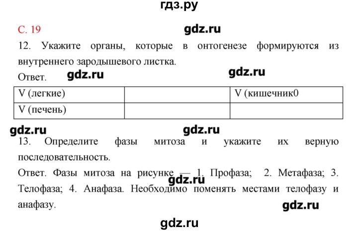 ГДЗ по биологии 10‐11 класс Сухорукова тетрадь-тренажер  страница - 19, Решебник