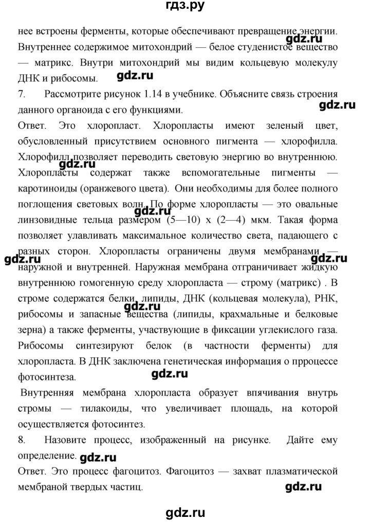 ГДЗ по биологии 10‐11 класс Сухорукова тетрадь-тренажер  страница - 22, Решебник