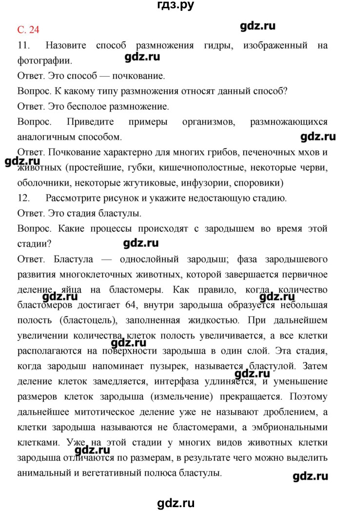 ГДЗ по биологии 10‐11 класс Сухорукова тетрадь-тренажер  страница - 24, Решебник