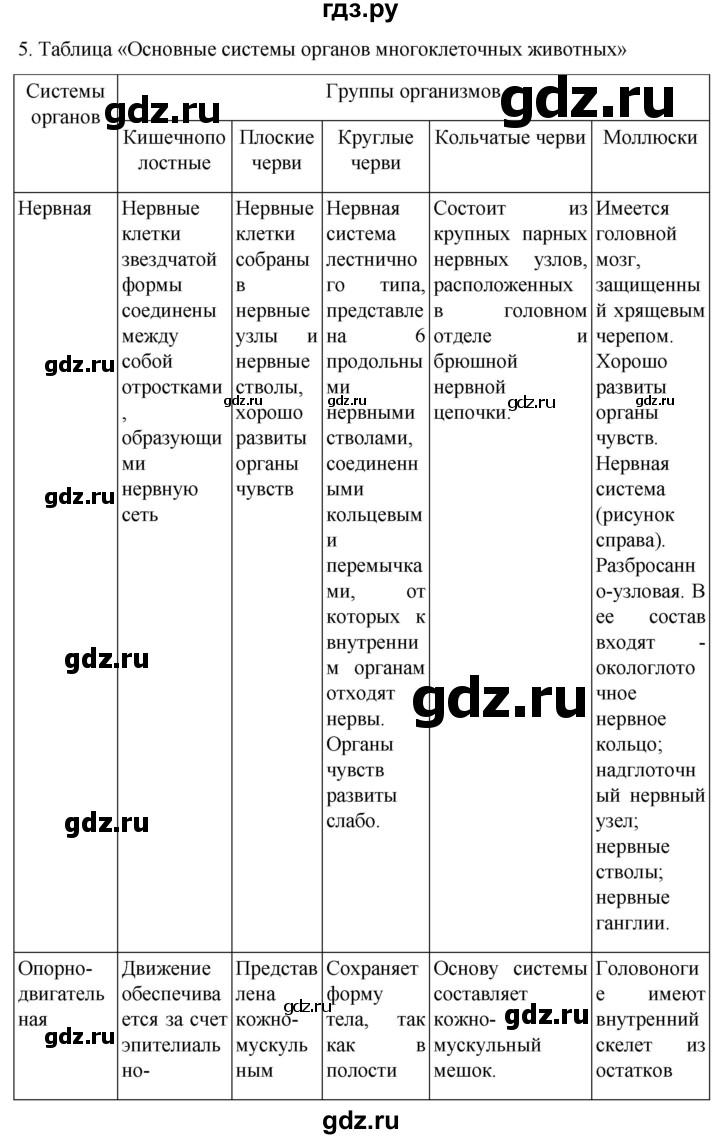 ГДЗ по биологии 7 класс Константинов   страница - 105, Решебник 2024