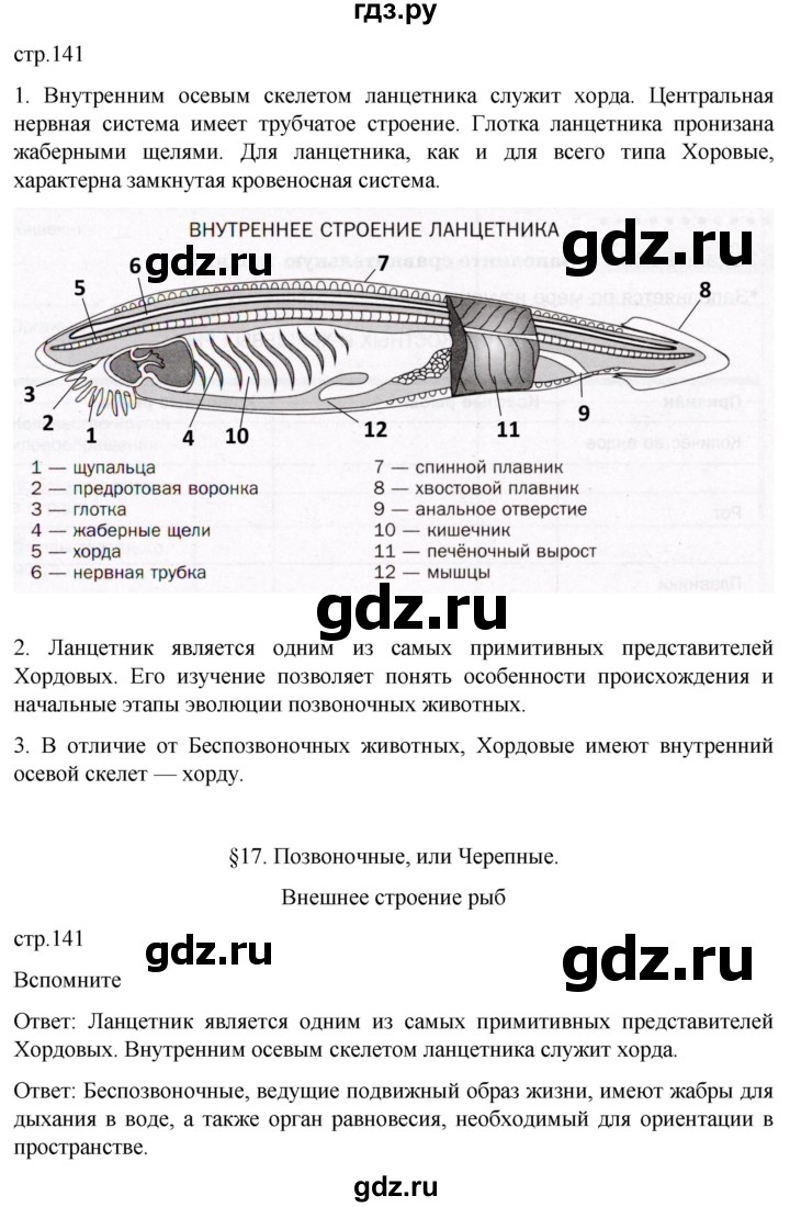 ГДЗ по биологии 7 класс Константинов   страница - 141, Решебник 2024