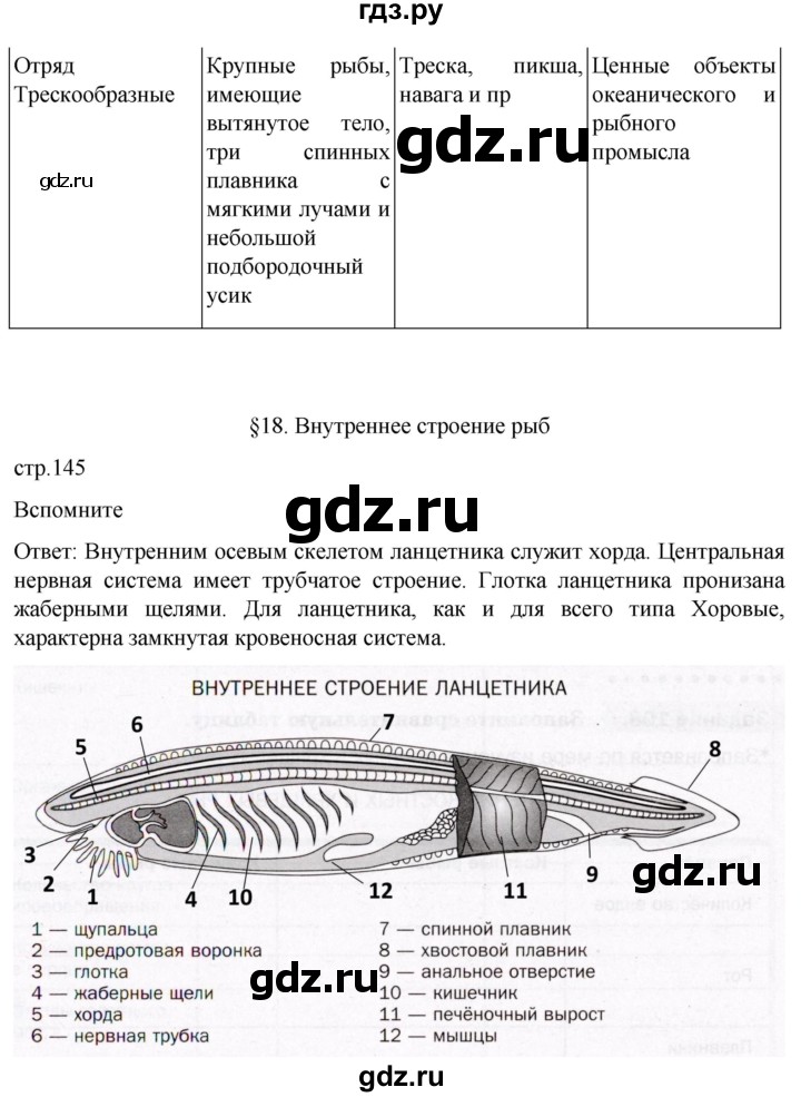 ГДЗ по биологии 7 класс Константинов   страница - 145, Решебник 2024