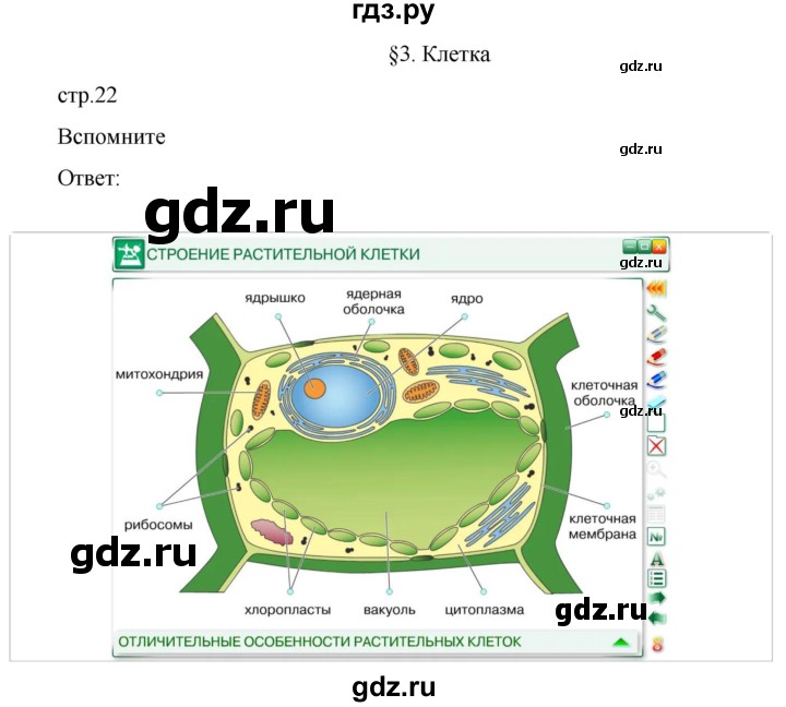 ГДЗ по биологии 7 класс Константинов   страница - 22, Решебник 2024