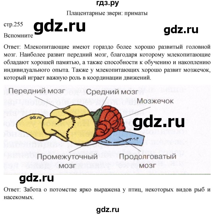 ГДЗ по биологии 7 класс Константинов   страница - 255, Решебник 2024