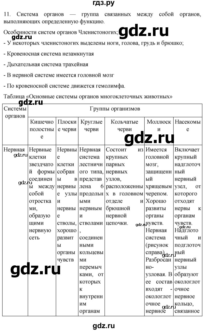 ГДЗ по биологии 7 класс Константинов   страница - 280, Решебник 2024