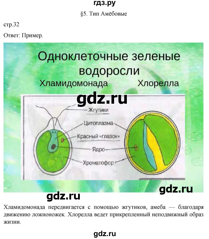 ГДЗ по биологии 7 класс Константинов   страница - 32, Решебник 2024