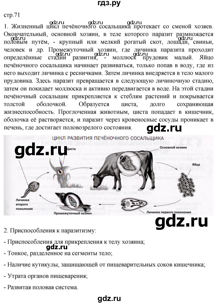 ГДЗ по биологии 7 класс Константинов   страница - 71, Решебник 2024