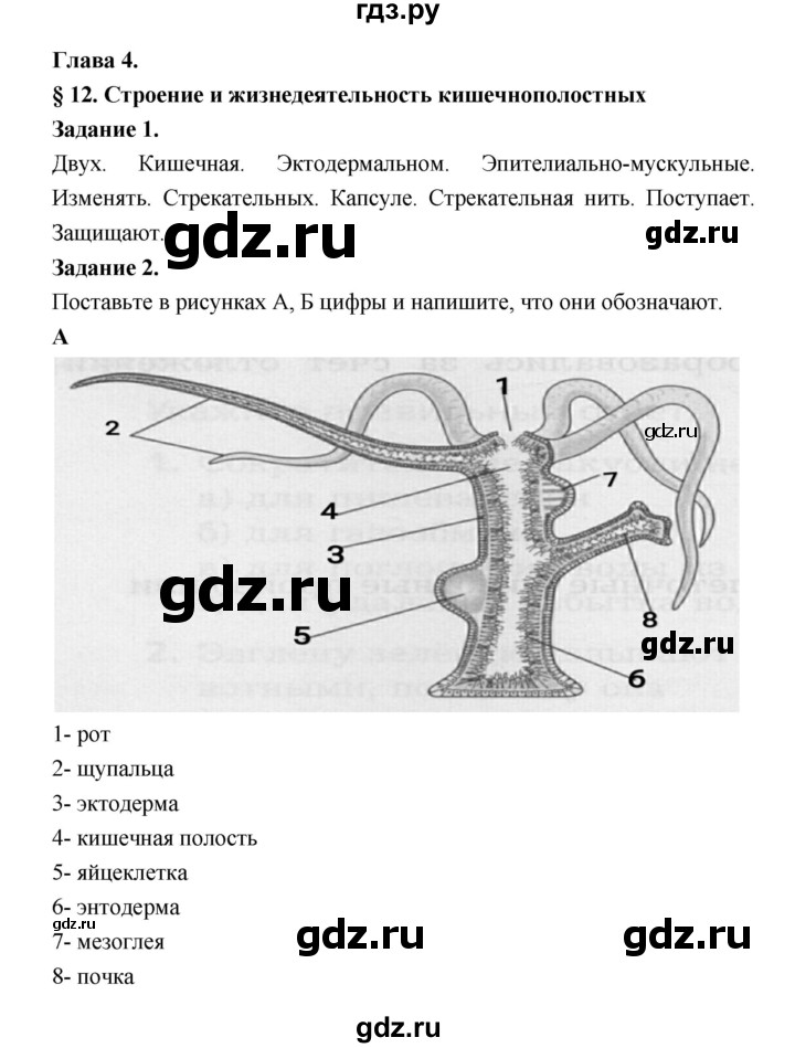 ГДЗ по биологии 7 класс Суматохин рабочая тетрадь  параграф - § 12, Решебник