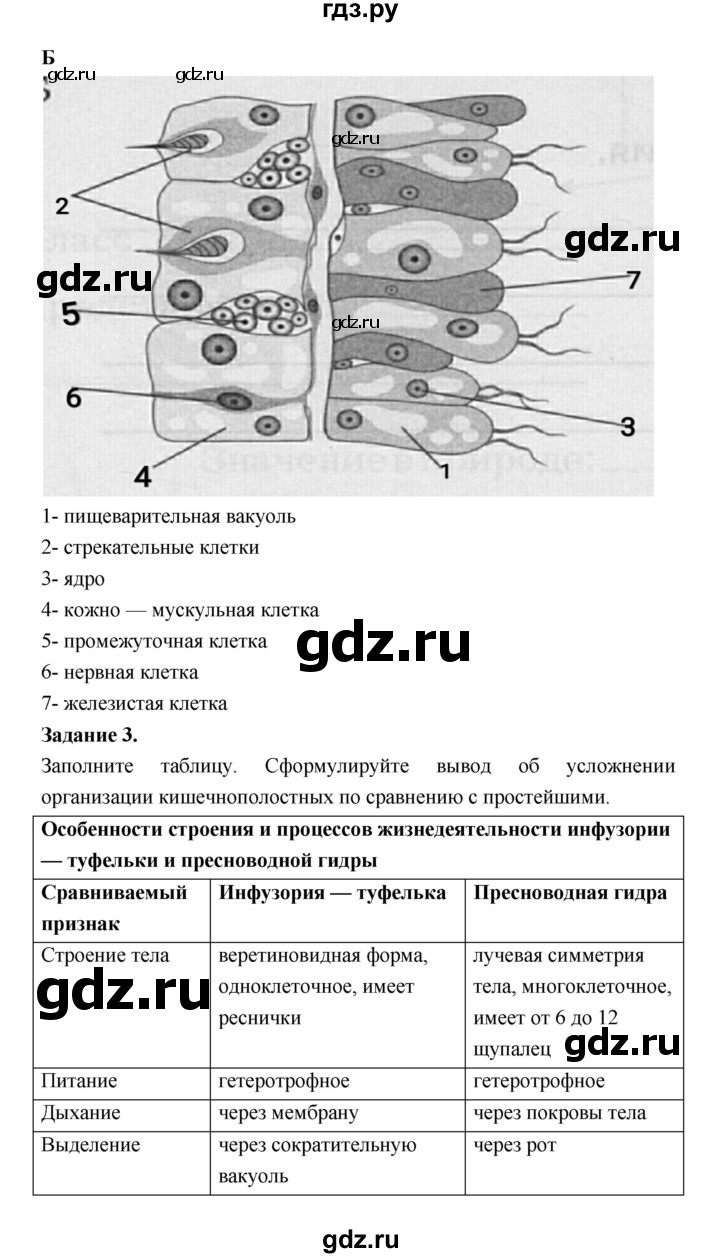 ГДЗ по биологии 7 класс Суматохин рабочая тетрадь  параграф - § 12, Решебник