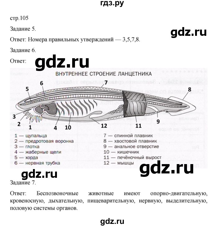 ГДЗ по биологии 7 класс Суматохин рабочая тетрадь (Константинов)  тетрадь №1. страница - 105, Решебник 2023