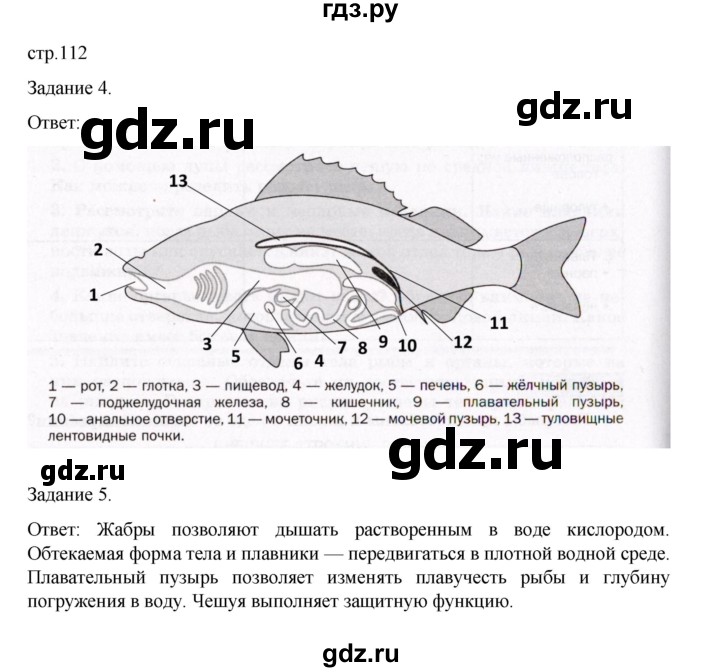 ГДЗ по биологии 7 класс Суматохин рабочая тетрадь (Константинов)  тетрадь №1. страница - 112, Решебник 2023