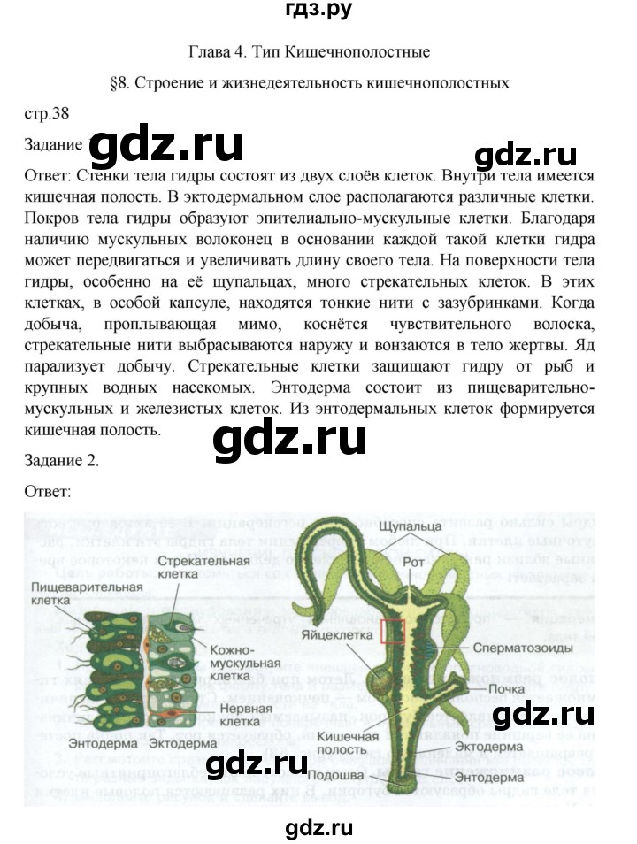 ГДЗ по биологии 7 класс Суматохин рабочая тетрадь (Константинов)  тетрадь №1. страница - 38, Решебник 2023