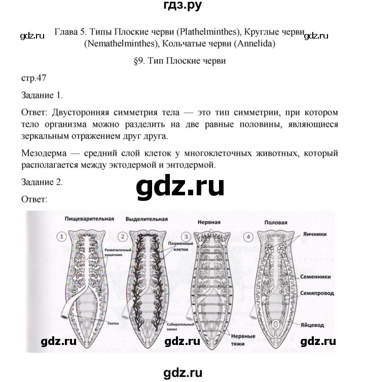 ГДЗ по биологии 7 класс Суматохин рабочая тетрадь (Константинов)  тетрадь №1. страница - 47, Решебник 2023