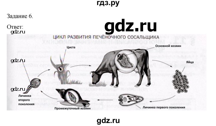 ГДЗ по биологии 7 класс Суматохин рабочая тетрадь (Константинов)  тетрадь №1. страница - 52, Решебник 2023