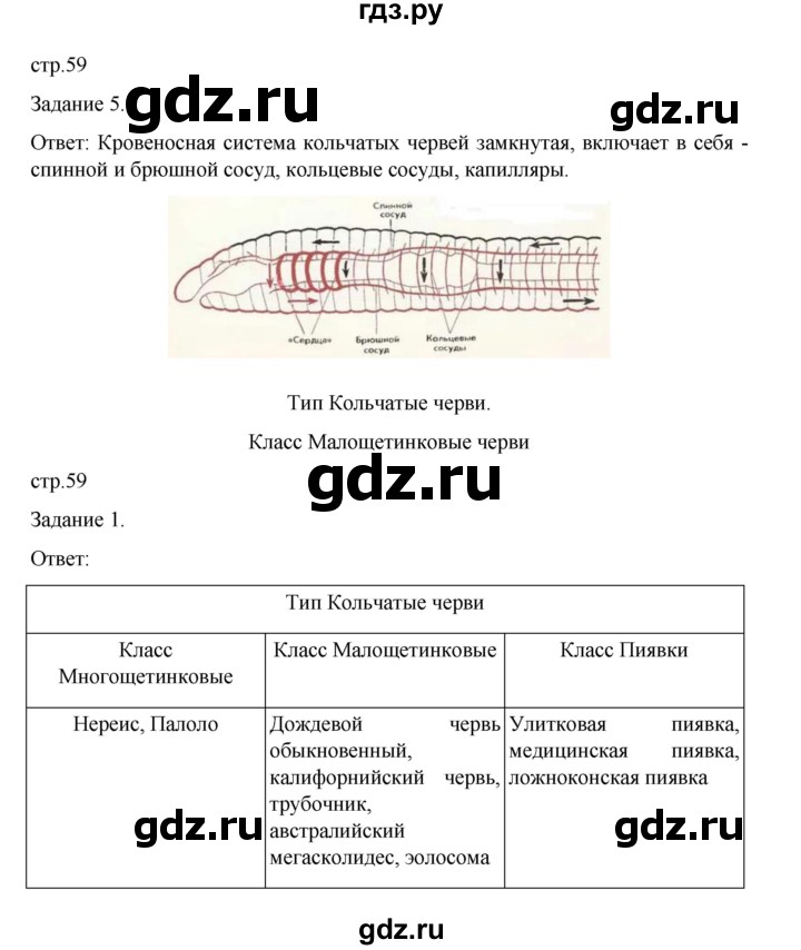 ГДЗ по биологии 7 класс Суматохин рабочая тетрадь (Константинов)  тетрадь №1. страница - 59, Решебник 2023