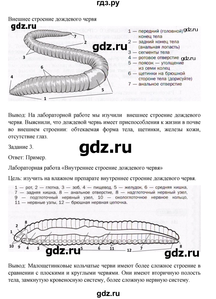 ГДЗ по биологии 7 класс Суматохин рабочая тетрадь (Константинов)  тетрадь №1. страница - 60, Решебник 2023