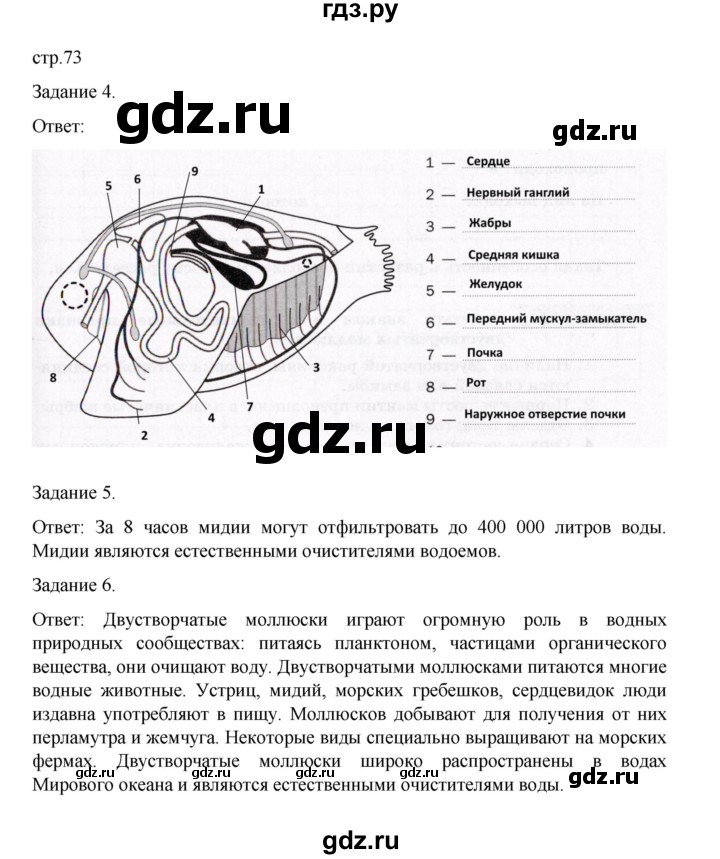 ГДЗ по биологии 7 класс Суматохин рабочая тетрадь (Константинов)  тетрадь №1. страница - 73, Решебник 2023