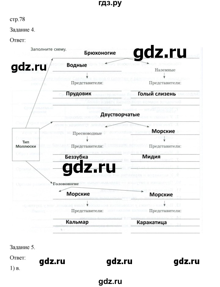 ГДЗ по биологии 7 класс Суматохин рабочая тетрадь (Константинов)  тетрадь №1. страница - 78, Решебник 2023
