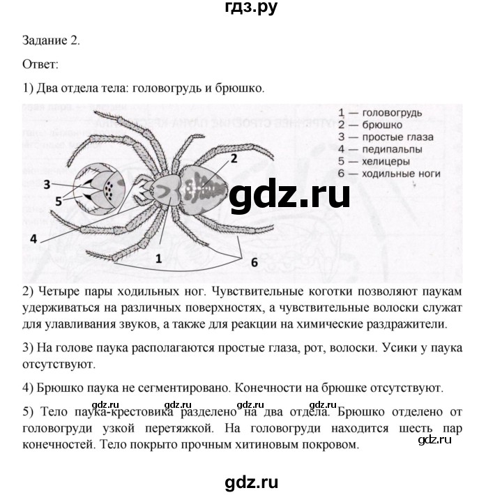 ГДЗ по биологии 7 класс Суматохин рабочая тетрадь (Константинов)  тетрадь №1. страница - 84, Решебник 2023