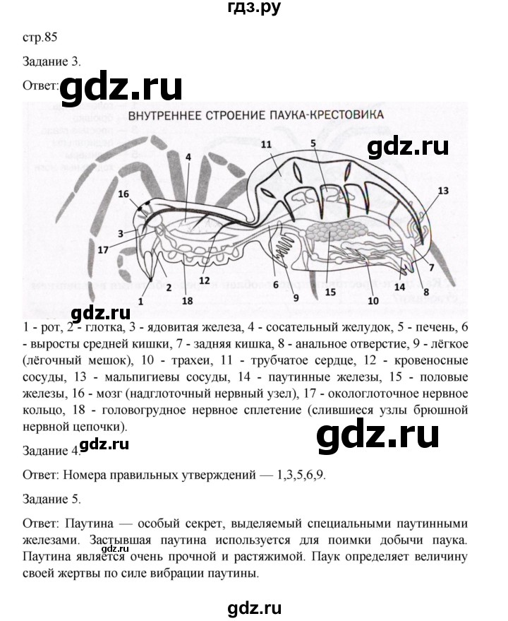 ГДЗ по биологии 7 класс Суматохин рабочая тетрадь (Константинов)  тетрадь №1. страница - 85, Решебник 2023