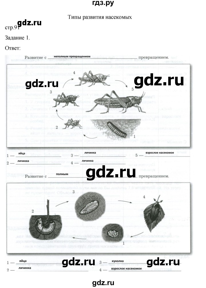 ГДЗ по биологии 7 класс Суматохин рабочая тетрадь (Константинов)  тетрадь №1. страница - 91, Решебник 2023
