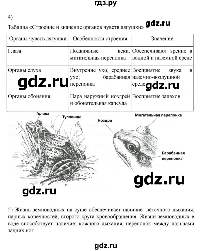 ГДЗ по биологии 7 класс Суматохин рабочая тетрадь (Константинов)  тетрадь №2. страница - 15, Решебник 2023