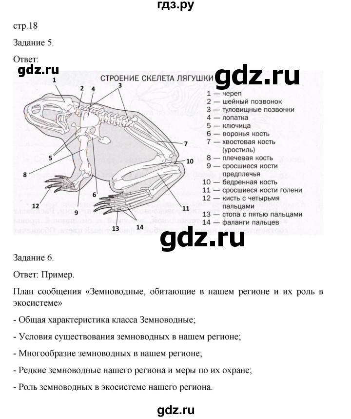 ГДЗ по биологии 7 класс Суматохин рабочая тетрадь (Константинов)  тетрадь №2. страница - 18, Решебник 2023