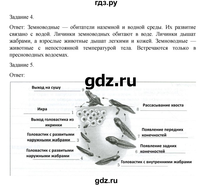 ГДЗ по биологии 7 класс Суматохин рабочая тетрадь (Константинов)  тетрадь №2. страница - 22, Решебник 2023