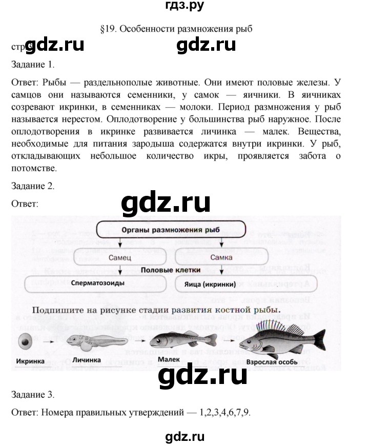 ГДЗ по биологии 7 класс Суматохин рабочая тетрадь (Константинов)  тетрадь №2. страница - 3, Решебник 2023