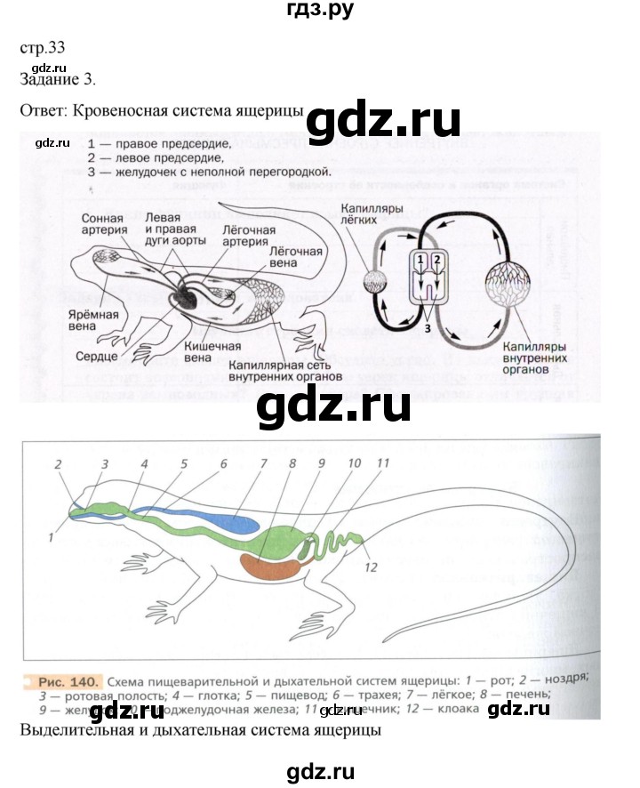 ГДЗ по биологии 7 класс Суматохин рабочая тетрадь (Константинов)  тетрадь №2. страница - 33, Решебник 2023