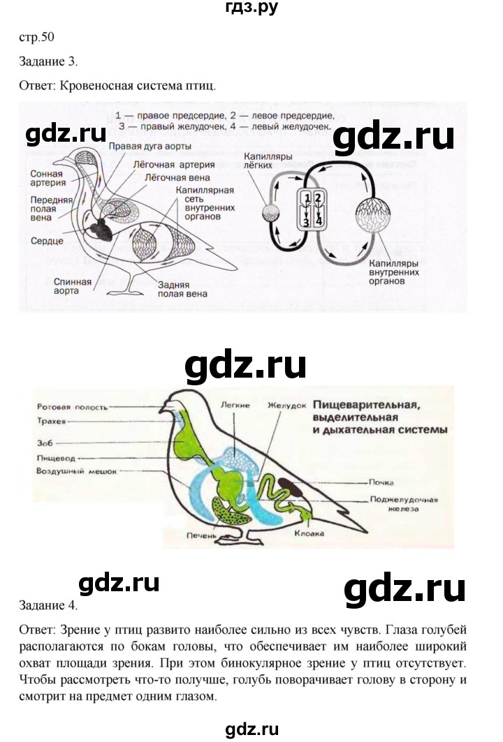 ГДЗ по биологии 7 класс Суматохин рабочая тетрадь (Константинов)  тетрадь №2. страница - 50, Решебник 2023