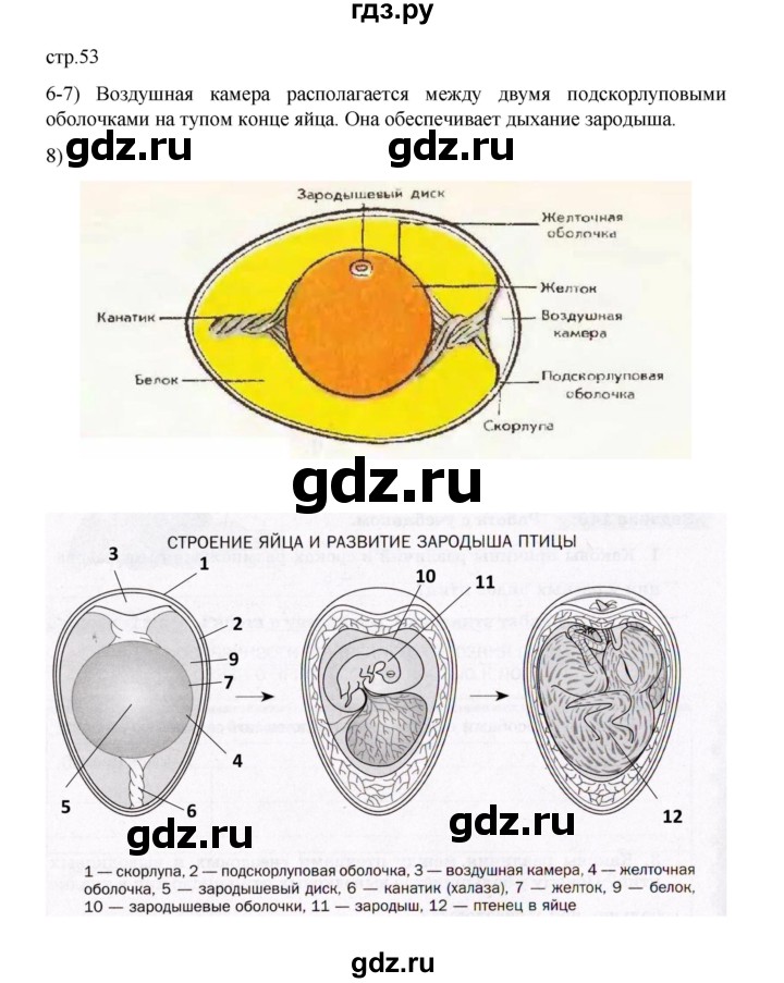 ГДЗ по биологии 7 класс Суматохин рабочая тетрадь (Константинов)  тетрадь №2. страница - 53, Решебник 2023