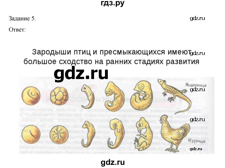 ГДЗ по биологии 7 класс Суматохин рабочая тетрадь (Константинов)  тетрадь №2. страница - 54, Решебник 2023