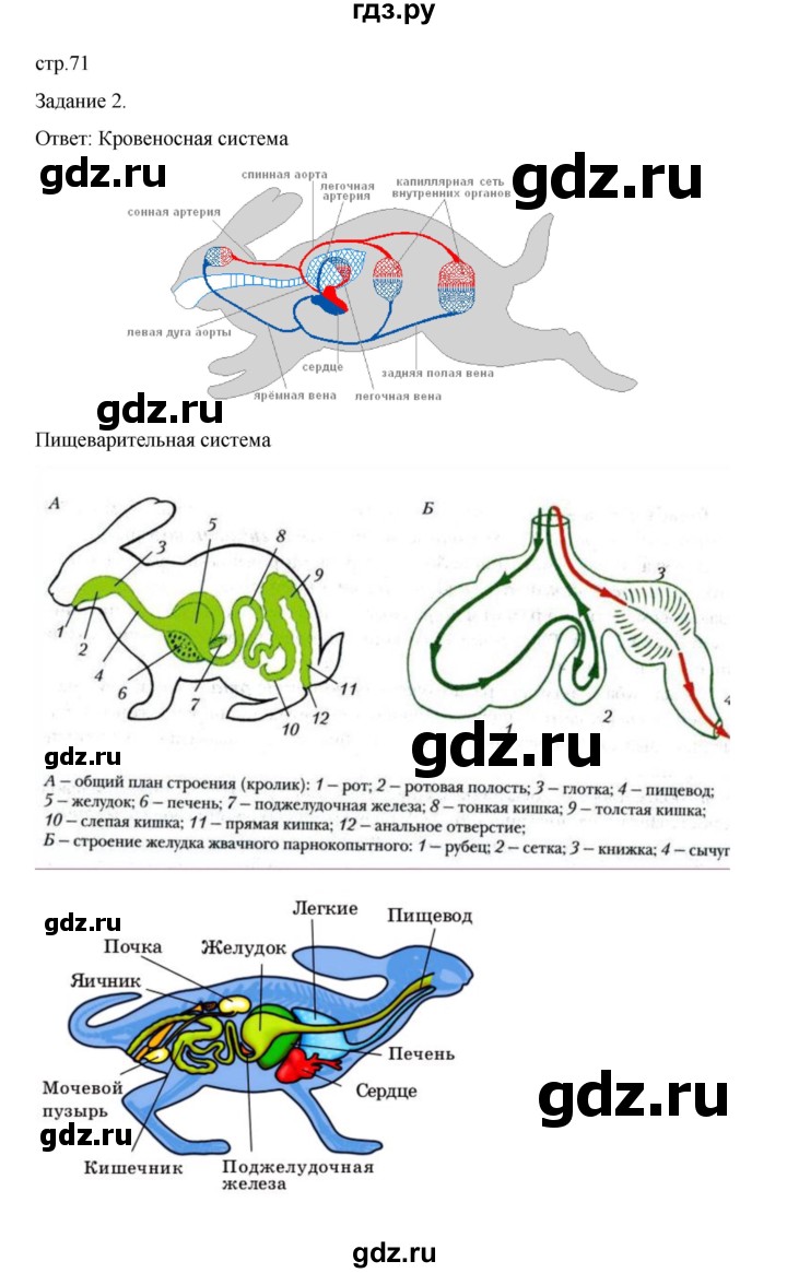 ГДЗ по биологии 7 класс Суматохин рабочая тетрадь (Константинов)  тетрадь №2. страница - 71, Решебник 2023