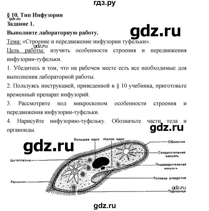 ГДЗ по биологии 7 класс Суматохин рабочая тетрадь (Константинов)  тетрадь №1. страница - 29, Решебник 2015